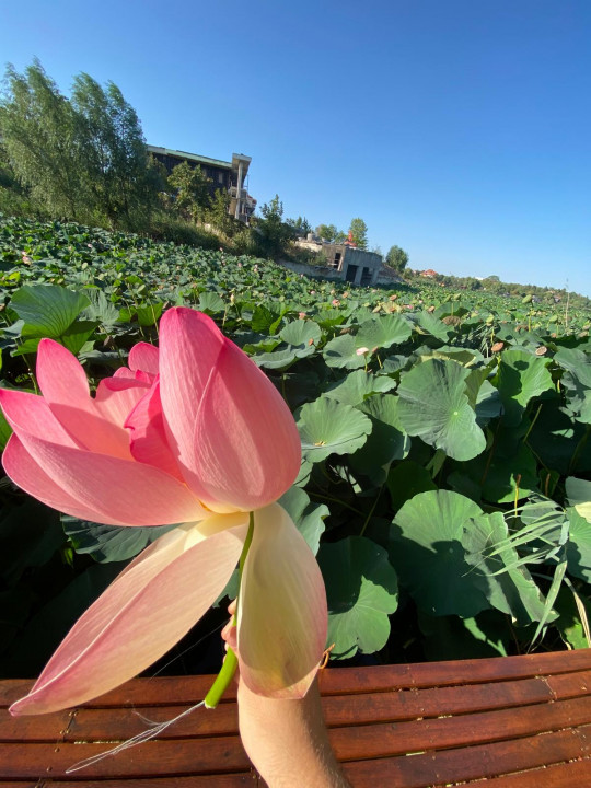 SUPER OCAZIE SE VINDE TEREN CU DESCHIDERE LA LACUL SNAGOV