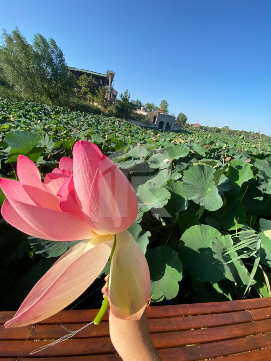 SUPER OCAZIE SE VINDE TEREN CU DESCHIDERE LA LACUL SNAGOV