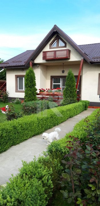 CASA 123mp LOT 336mp Vidra-Dobreni 