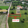Lot 1000 mp Dascalu, Creata
