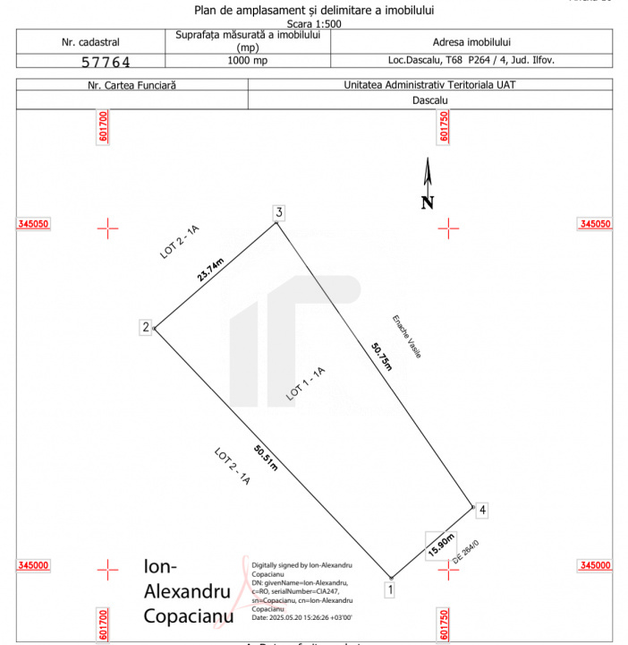 Lot 1000 mp Dascalu, Creata