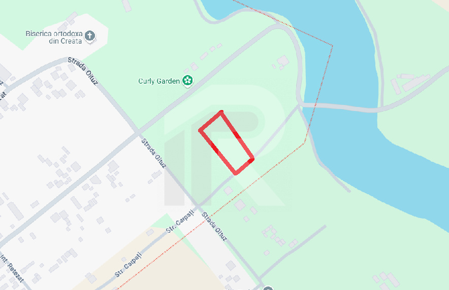 Lot 1000 mp Dascalu, Creata