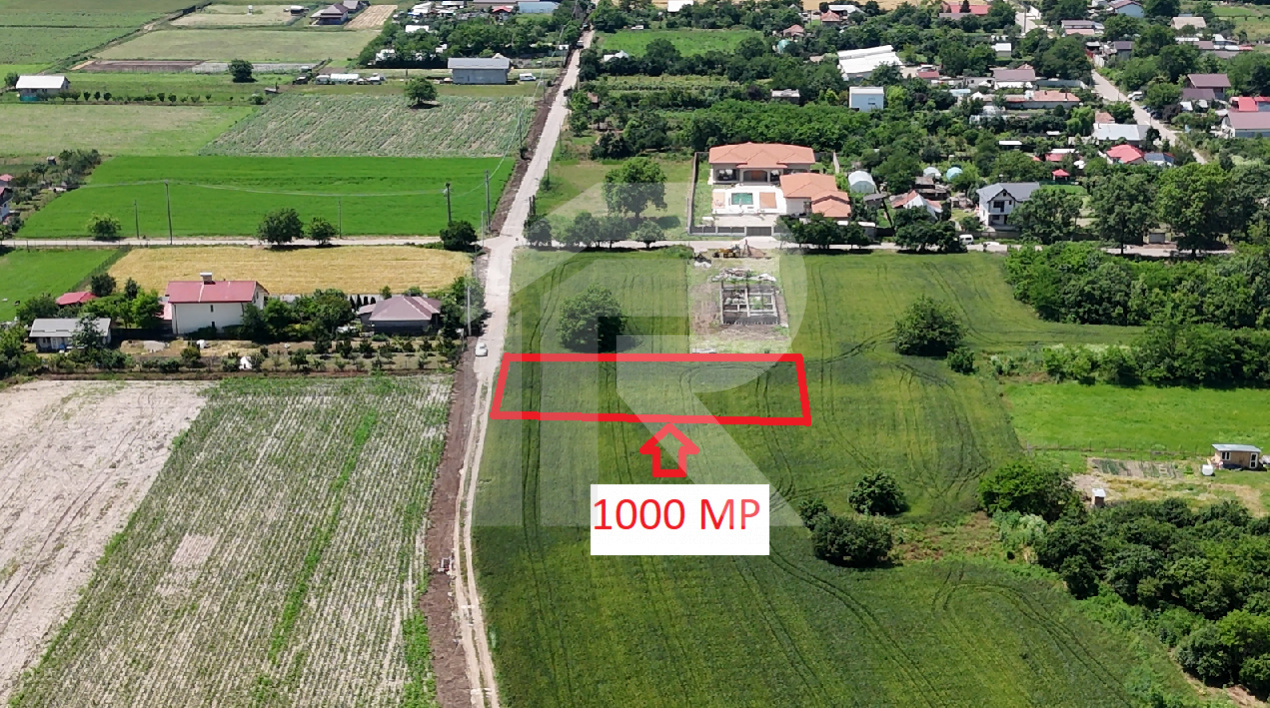 Lot 1000 mp Dascalu, Creata