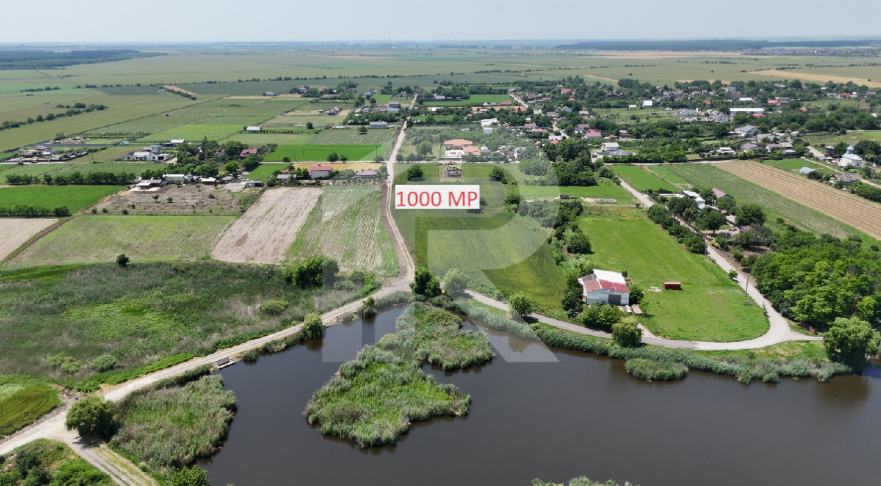 Lot 1000 mp Dascalu, Creata