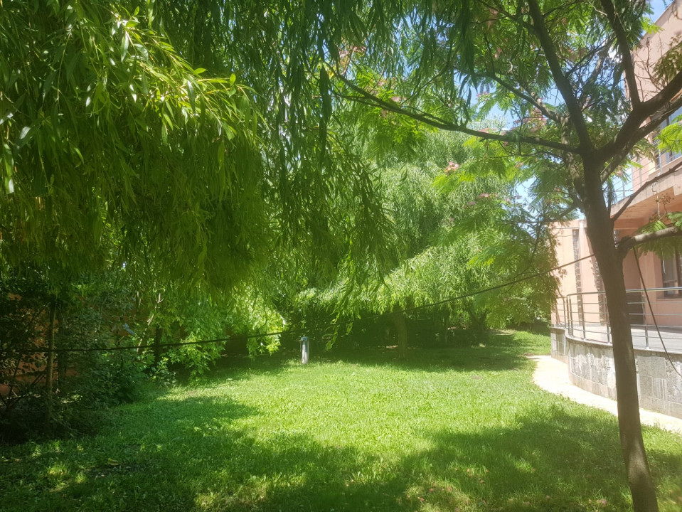 O Oază de Spațiu și Eleganță in zona de agrement Cernica