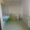 O Oază de Spațiu și Eleganță in zona de agrement Cernica