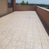O Oază de Spațiu și Eleganță in zona de agrement Cernica