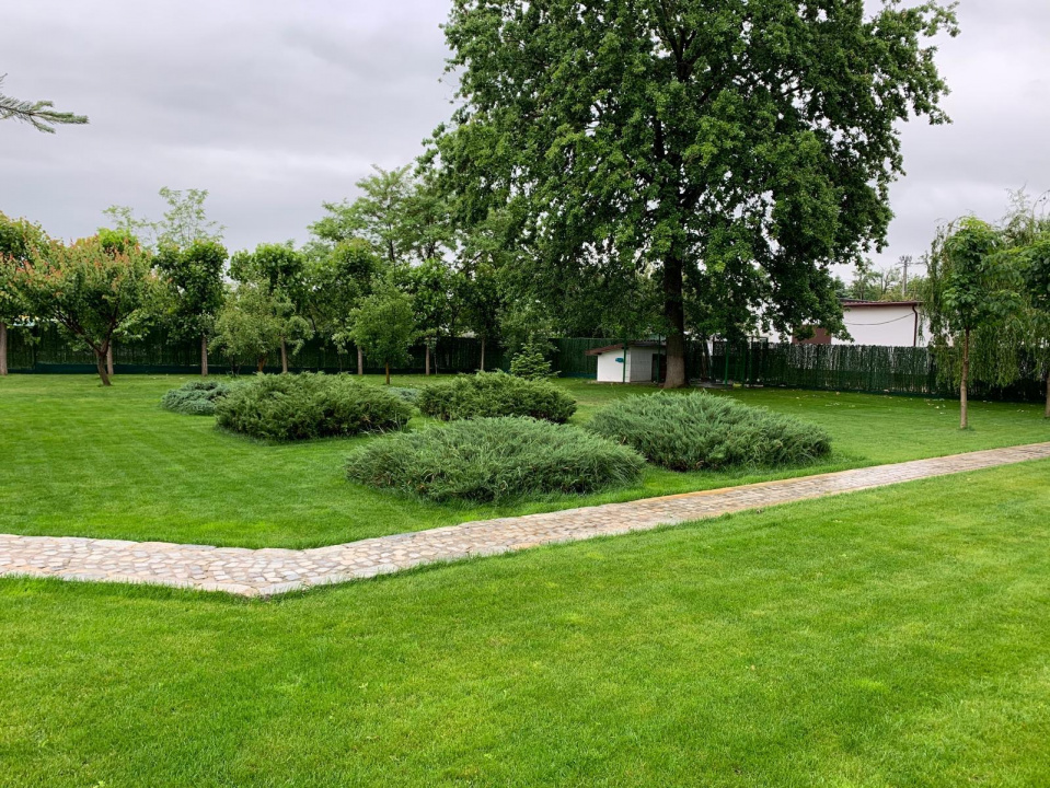 JOITA, LOT 500 MP!