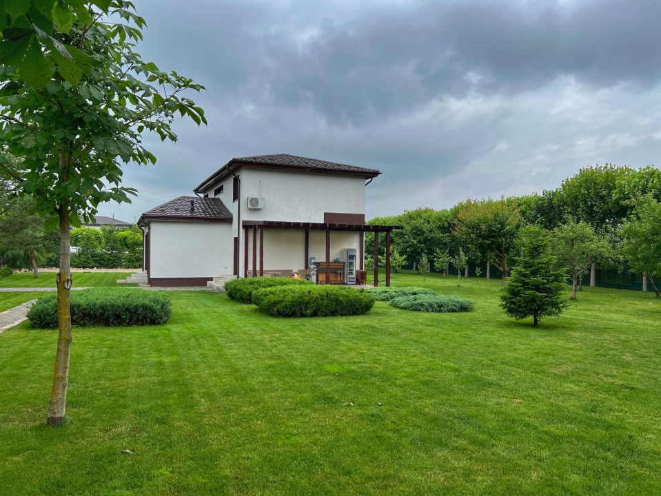 JOITA, LOT 500 MP!
