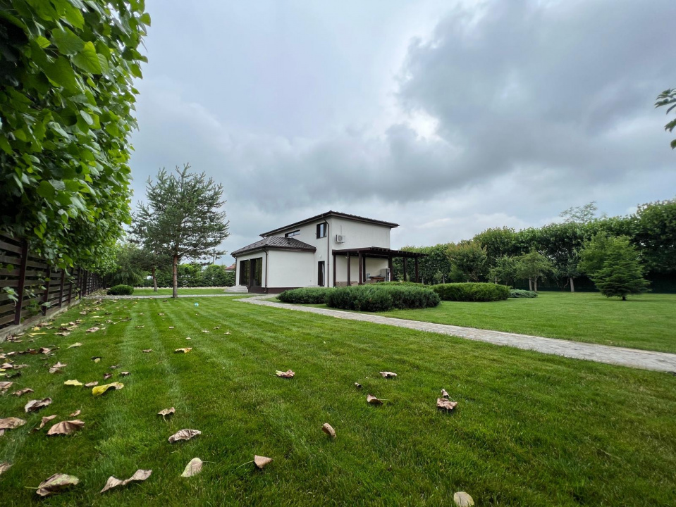 JOITA, LOT 500 MP!