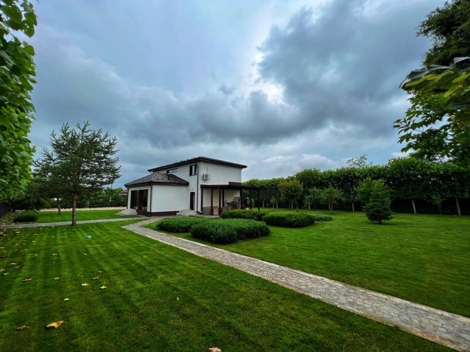 JOITA, LOT 500 MP!