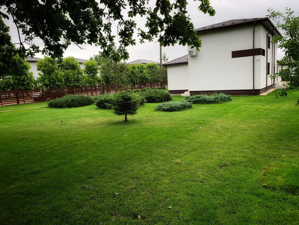 JOITA, LOT 500 MP!