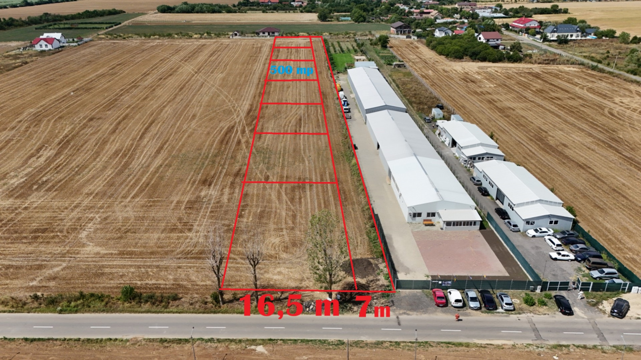 CIOLPANI, LOT 500 MP!