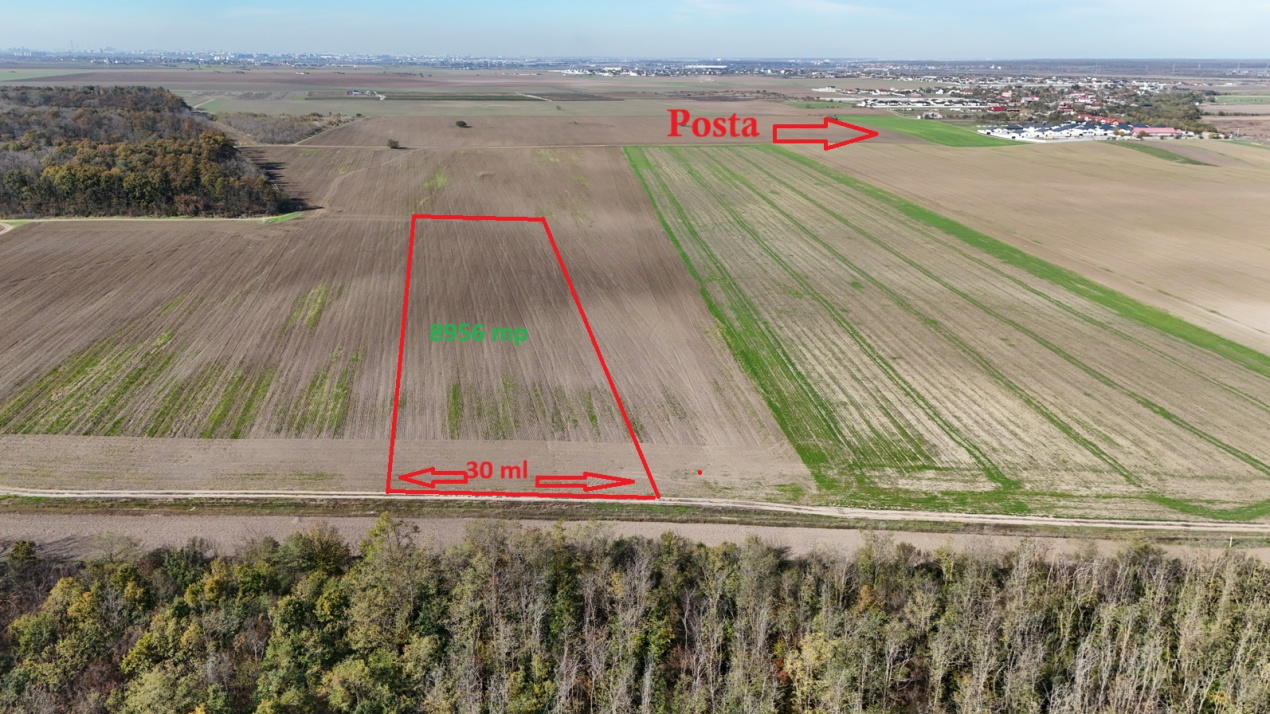 CERNICA-POSTA, LOT 8956 MP, LA PADURE! 