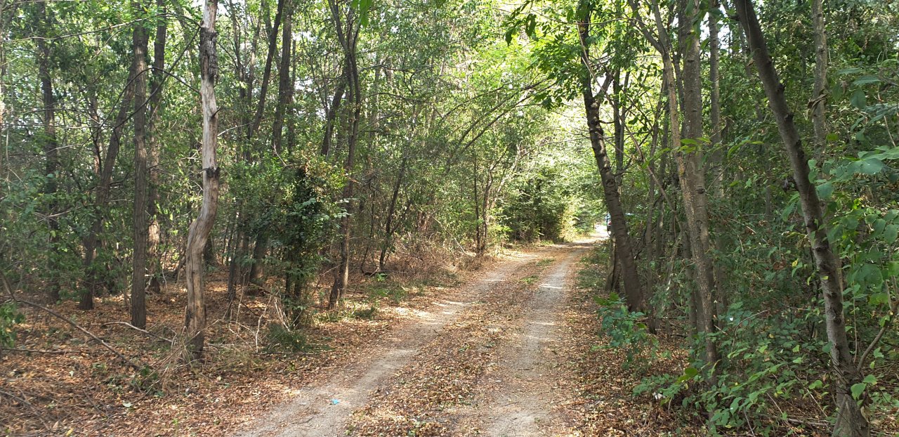 Vila la gri Padurea CERNICA, proiect deosebit, teren 1000 mp