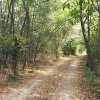 Vila la gri Padurea CERNICA, proiect deosebit, teren 1000 mp