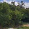Vila la gri Padurea CERNICA, proiect deosebit, teren 1000 mp